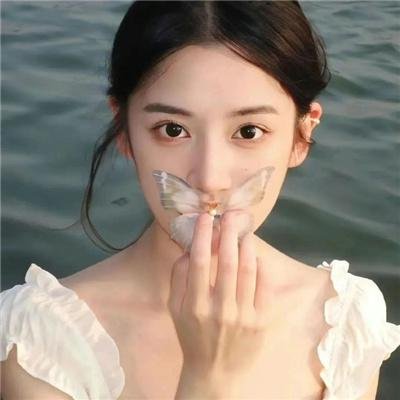 螳螂捕蝉
